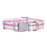 LGBT Pride Nylon Dog Leash